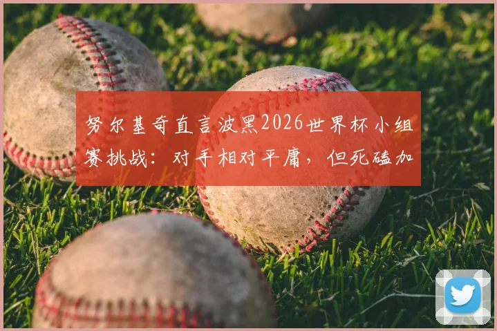 努尔基奇直言波黑2026世界杯小组赛挑战：对手相对平庸，但死磕加拿大压力山大